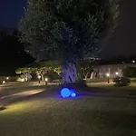 B&B Ohahsi 놀라